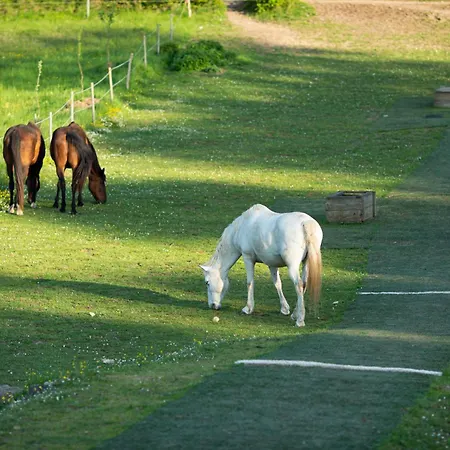 Domaine De Chantemerle B'nb 3* Marsac (Charente)